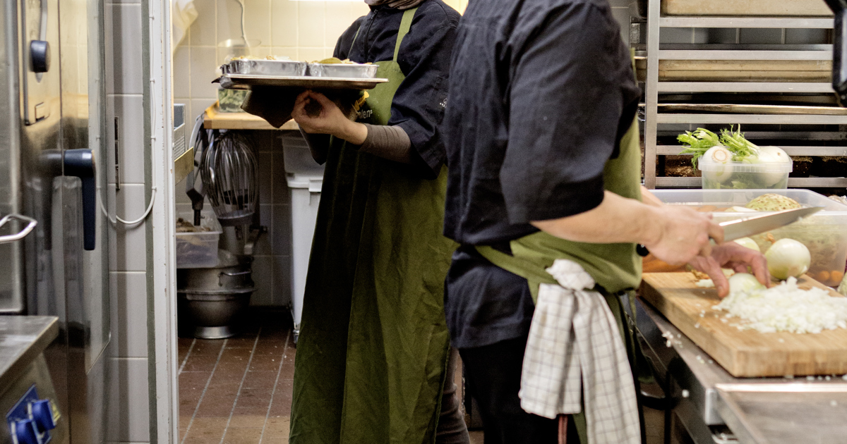 Employability among refugees and how it is affected by public ...